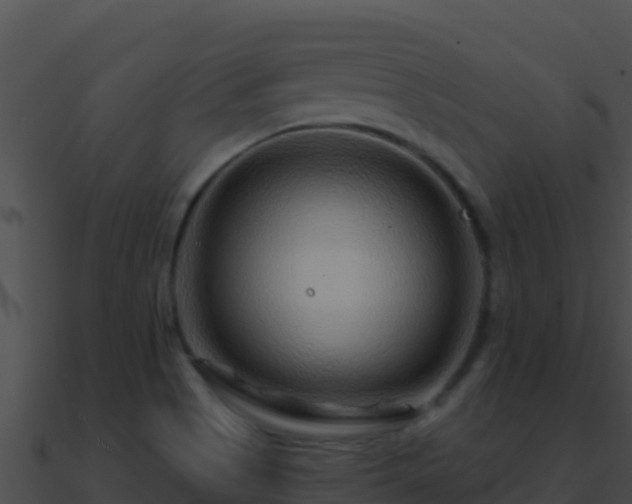 X0000090871513200708030958