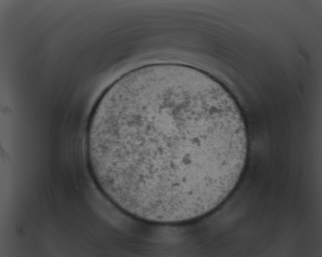 X0000090871514200708030958