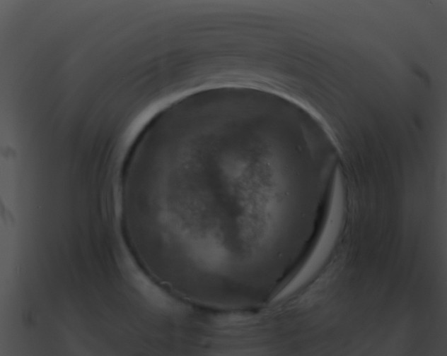 X0000090871515200708030958