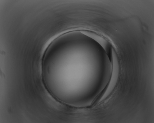 X0000090871516200708030958