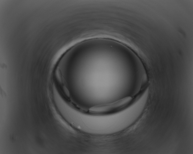 X0000090871518200708030958