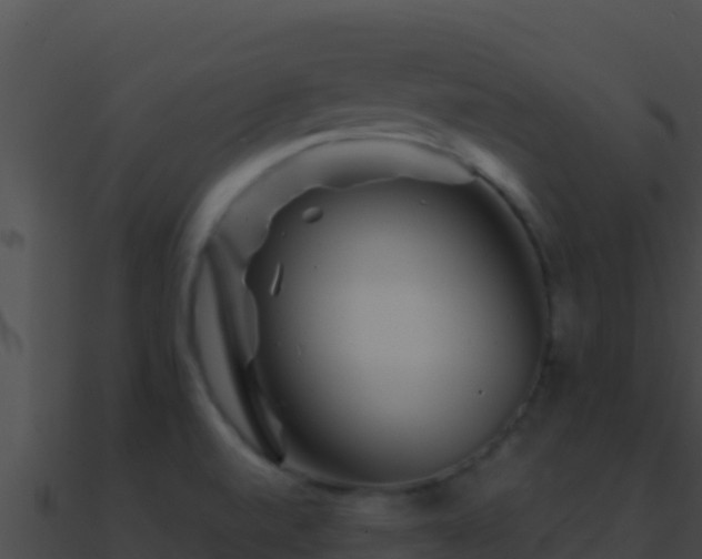 X0000090871520200708030958