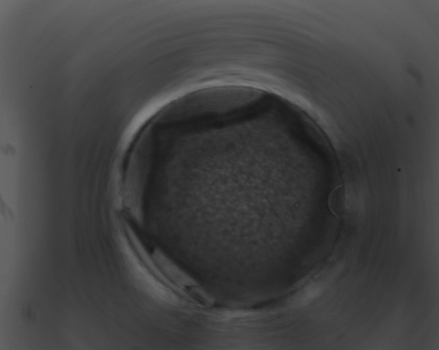 X0000090871522200708030958