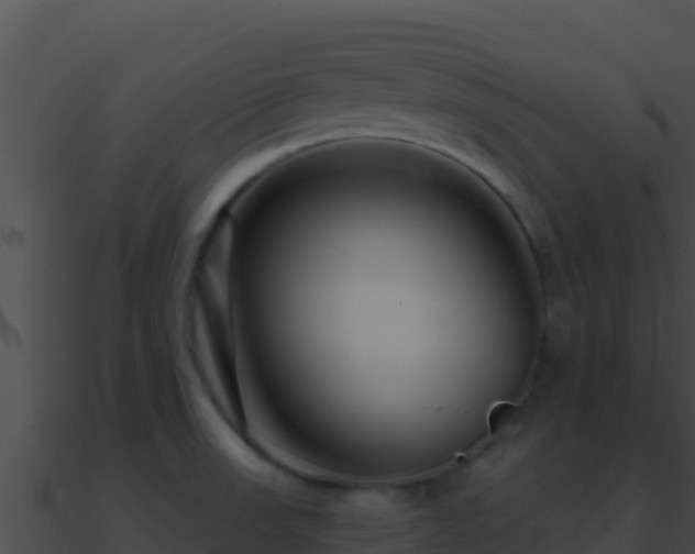 X0000090871523200708030958