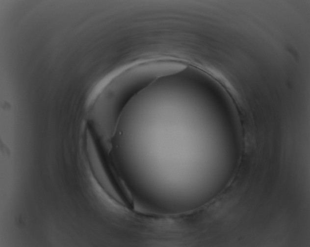 X0000090871524200708030958