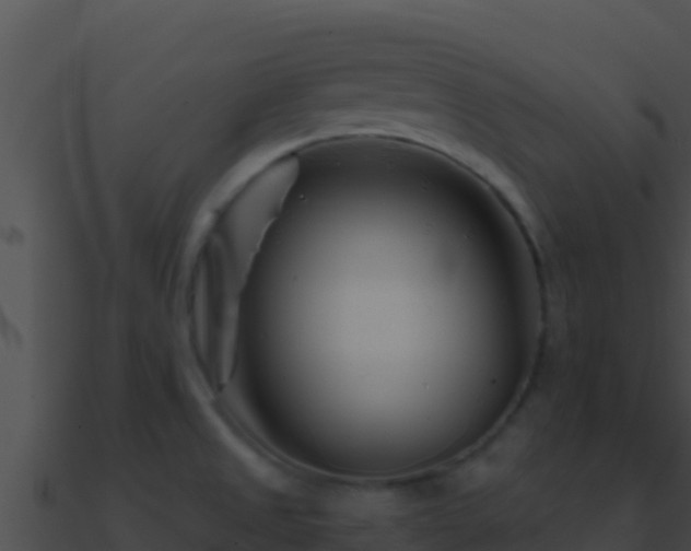 X0000090871525200708030958