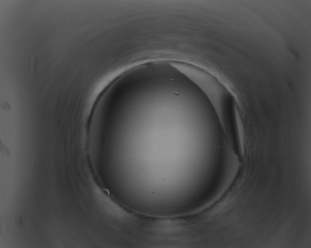 X0000090871527200708030958