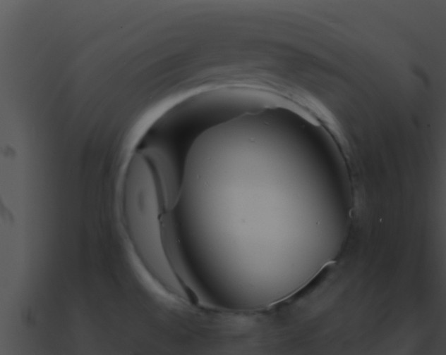 X0000090871528200708030958