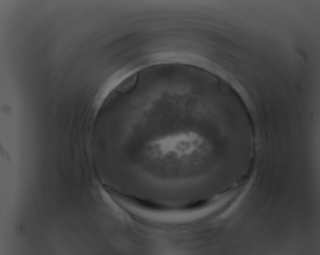 X0000090871529200708030958