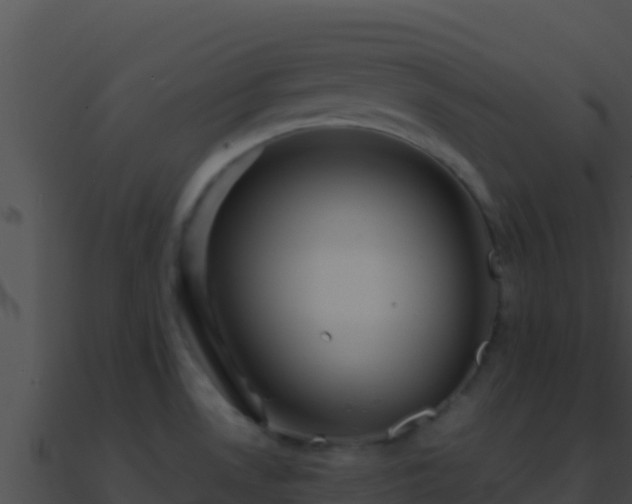 X0000090871530200708030958