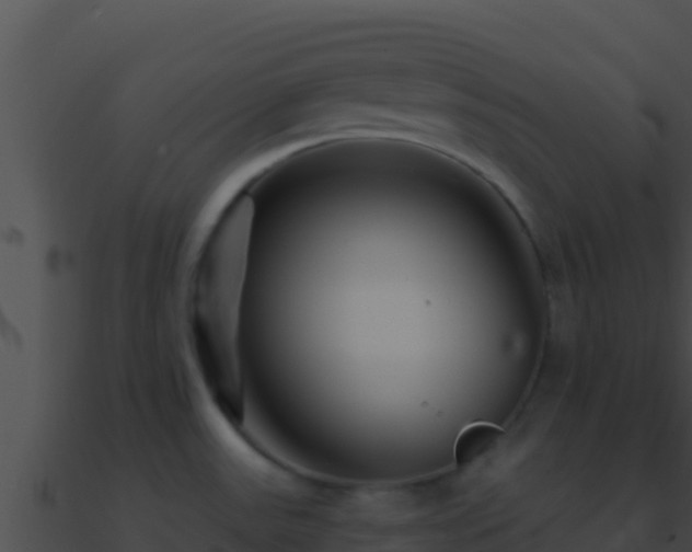 X0000090871531200708030958