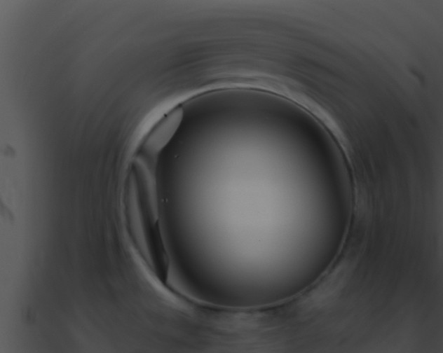 X0000090871533200708030958