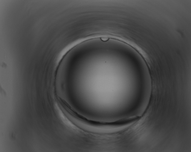 X0000090871534200708030958