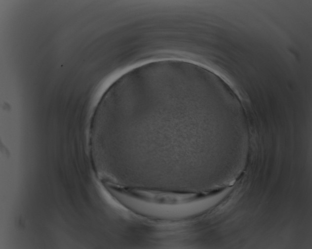 X0000090871535200708030958