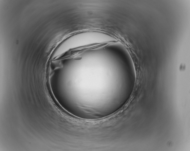 X0000090870002200708101343