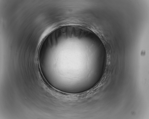 X0000090870004200708101343