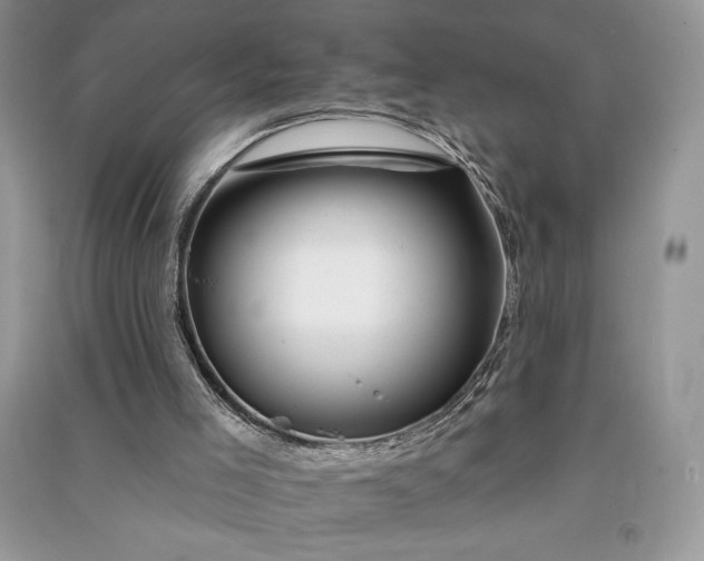 X0000090870005200708101343