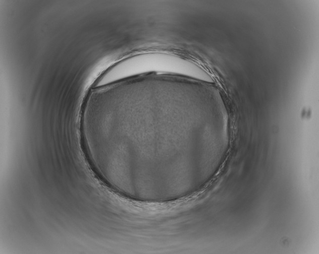 X0000090870006200708101343