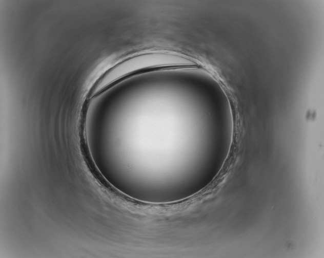 X0000090870007200708101343