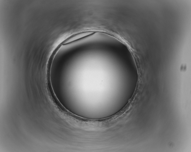 X0000090870008200708101343