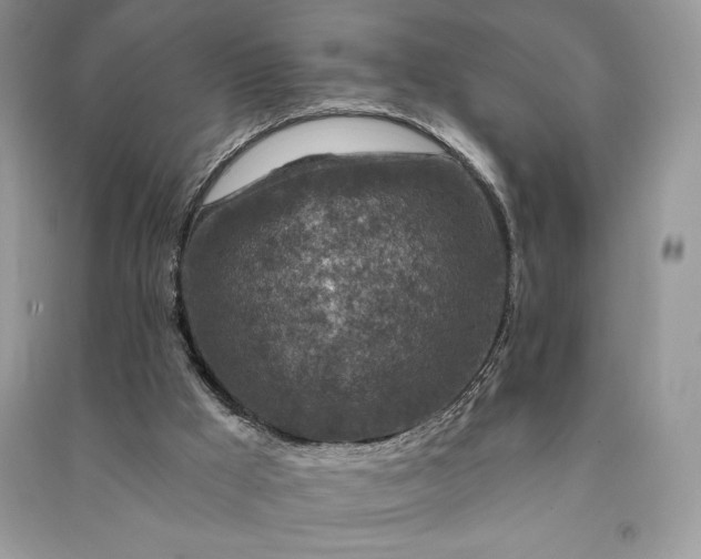 X0000090870009200708101343