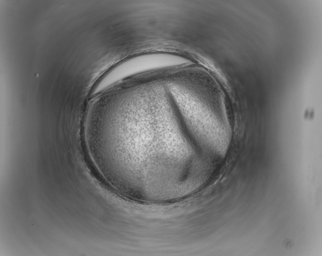 X0000090870010200708101343