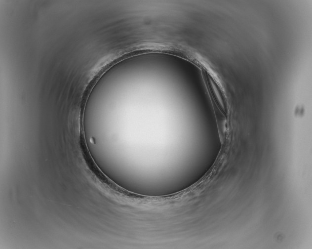 X0000090870011200708101343