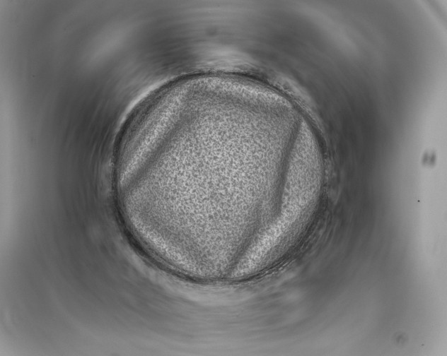 X0000090870012200708101343