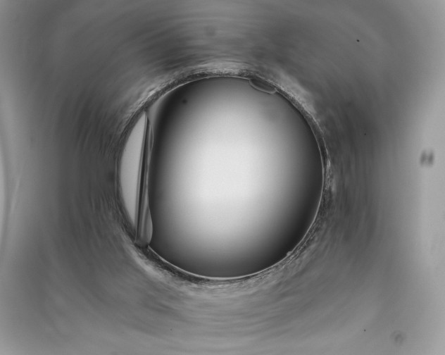 X0000090870013200708101343