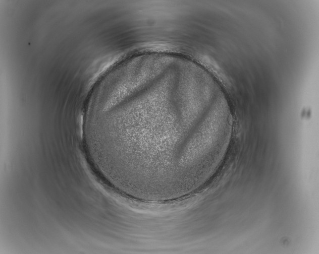 X0000090870014200708101343