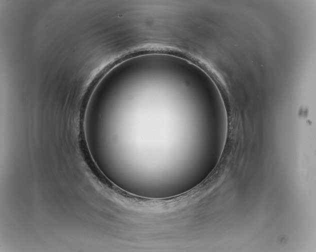 X0000090870015200708101343