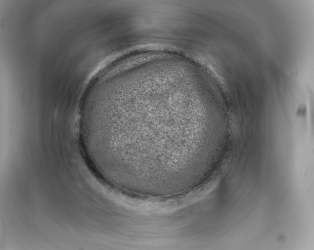 X0000090870016200708101343