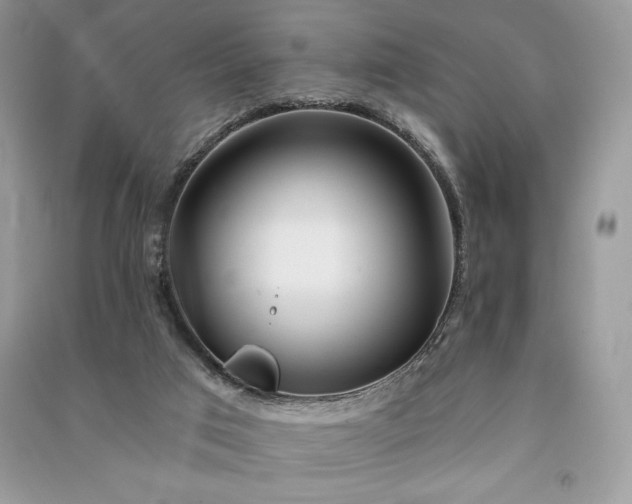 X0000090870017200708101343