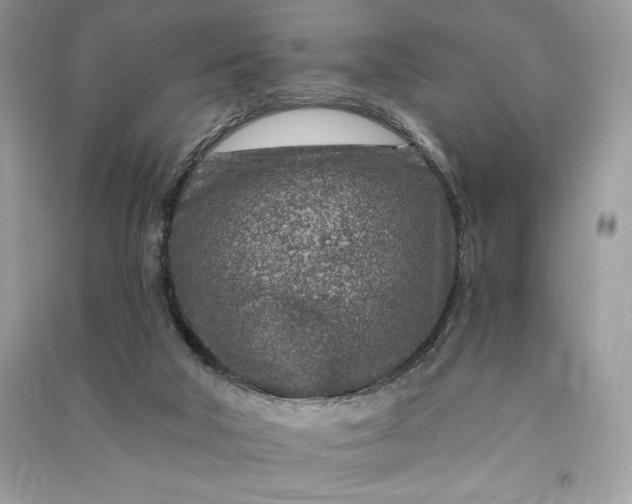 X0000090870018200708101343