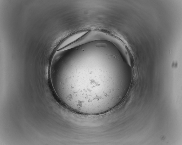 X0000090870019200708101343