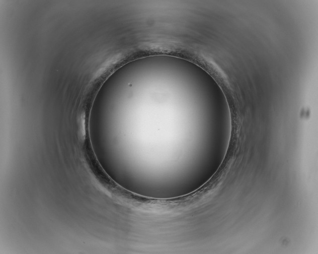 X0000090870020200708101343