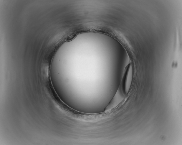 X0000090870021200708101343