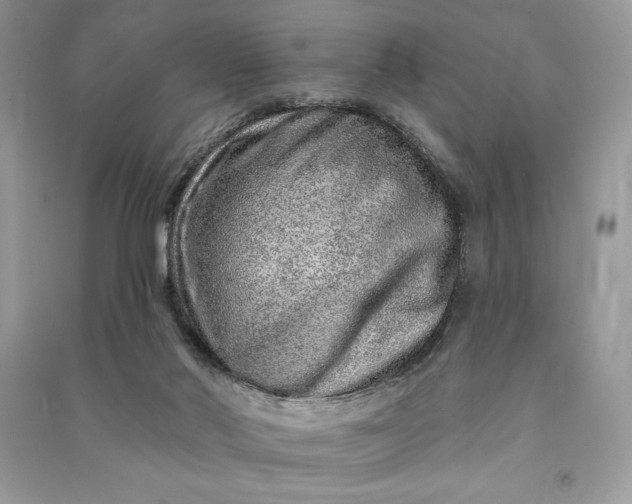 X0000090870022200708101343