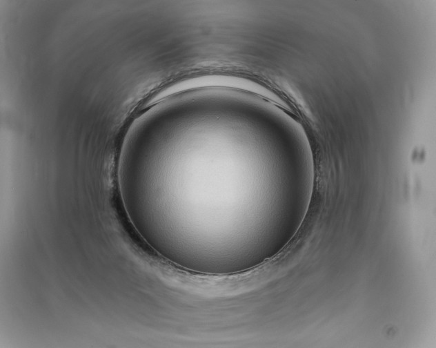 X0000090870023200708101343