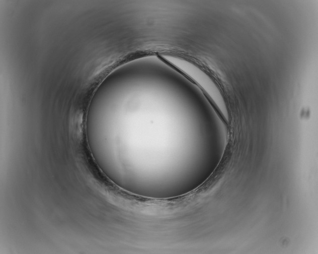 X0000090870024200708101343