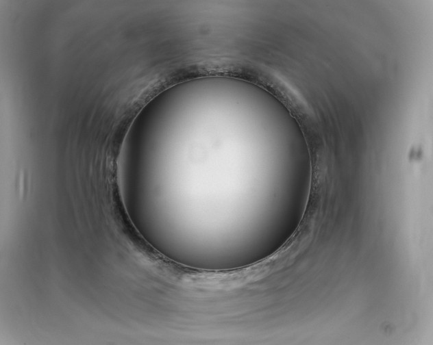 X0000090870025200708101343