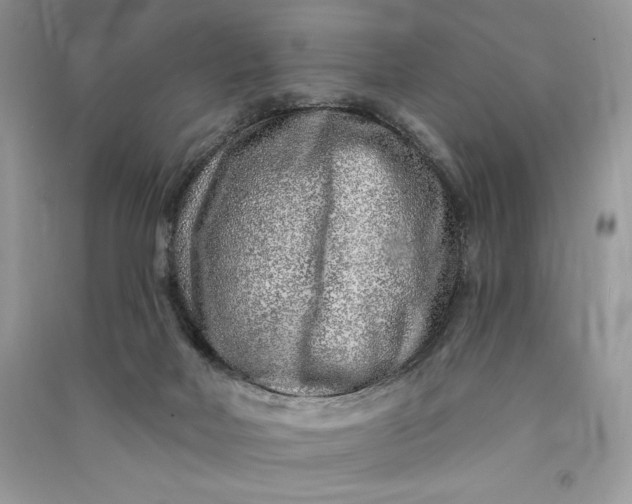 X0000090870026200708101343