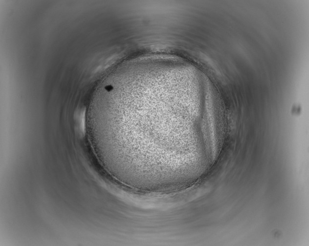 X0000090870028200708101343