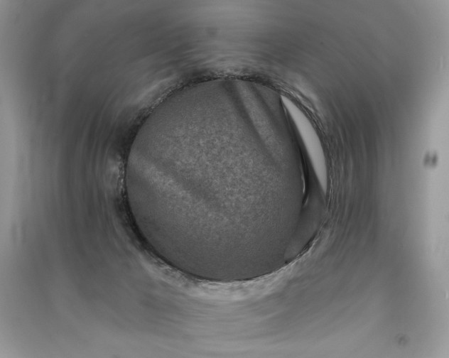 X0000090870029200708101343