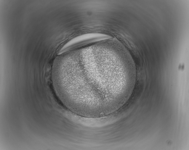 X0000090870030200708101343