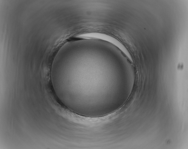 X0000090870031200708101343