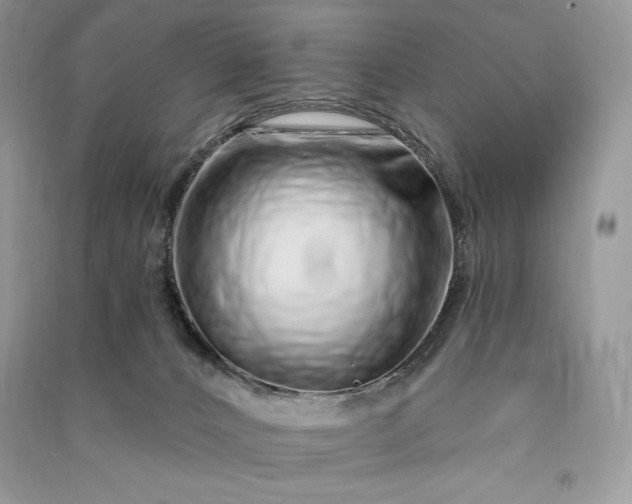 X0000090870032200708101343