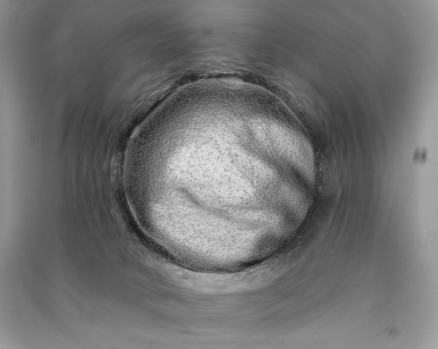 X0000090870034200708101342