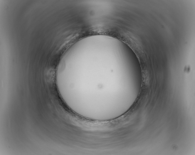 X0000090870036200708101342