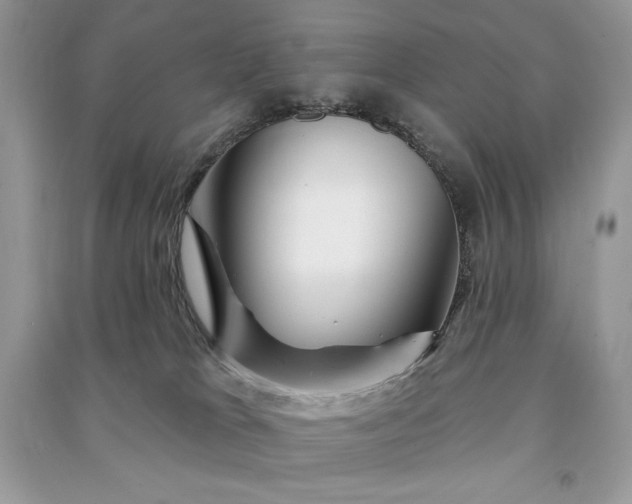 X0000090870037200708101342